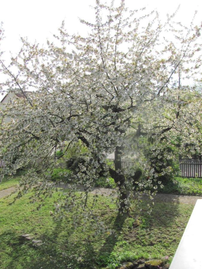 Hochwertiges Ferienhaus Im Romantischen Franken Colmberg Zewnętrze zdjęcie
